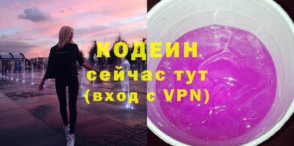 гашик Пестово
